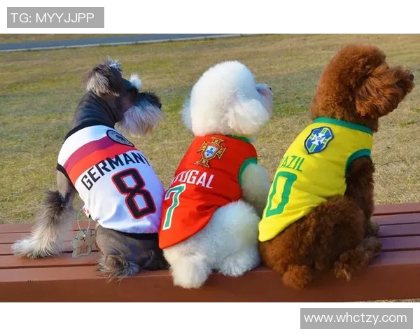 足球明星的宠物实力揭秘它们在场外的独特魅力与惊人技能 足球明星的宠物实力揭秘它们在场外的独特魅力与惊人技能